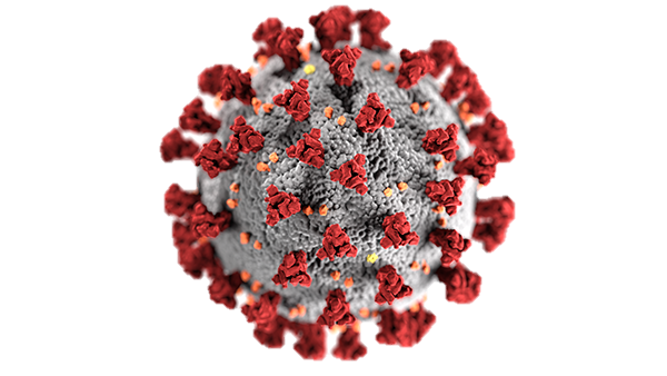 coronavirus